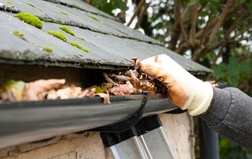 gutter cleaning Tunley